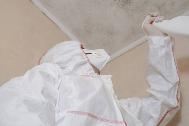 Leupp, AZ Mold Remediation Company